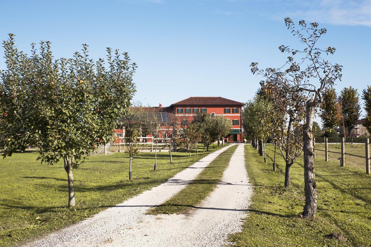 Ca' Ciaran Bed & Breakfast Chiarano ภายนอก รูปภาพ