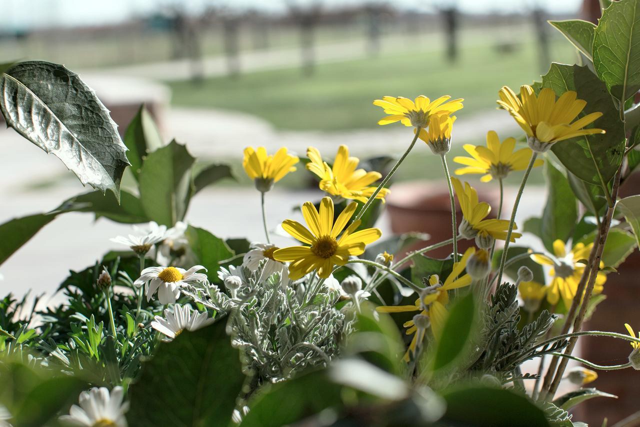 Ca' Ciaran Bed & Breakfast Chiarano ภายนอก รูปภาพ